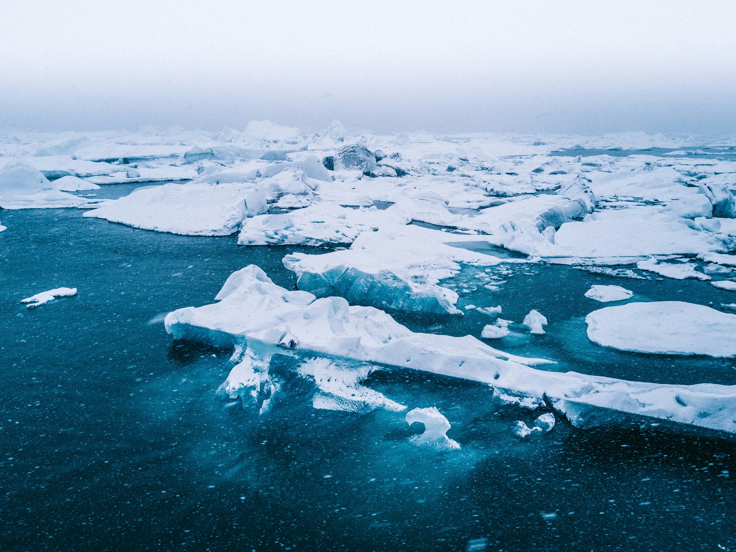 Эколог Агафонов: «Америка и Канада хотят изменить границы арктической зоны»