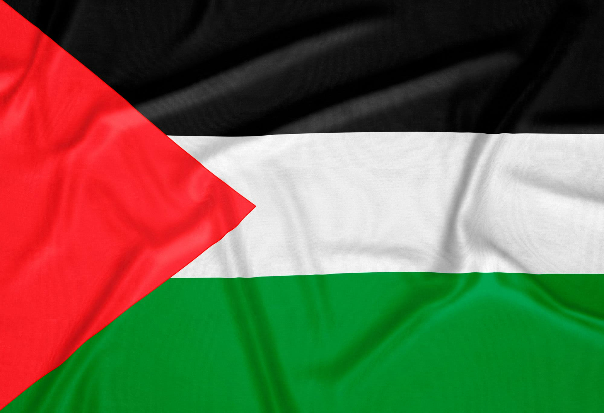 Сафаров: Война в Палестине — эхо будущей избирательной кампании в США