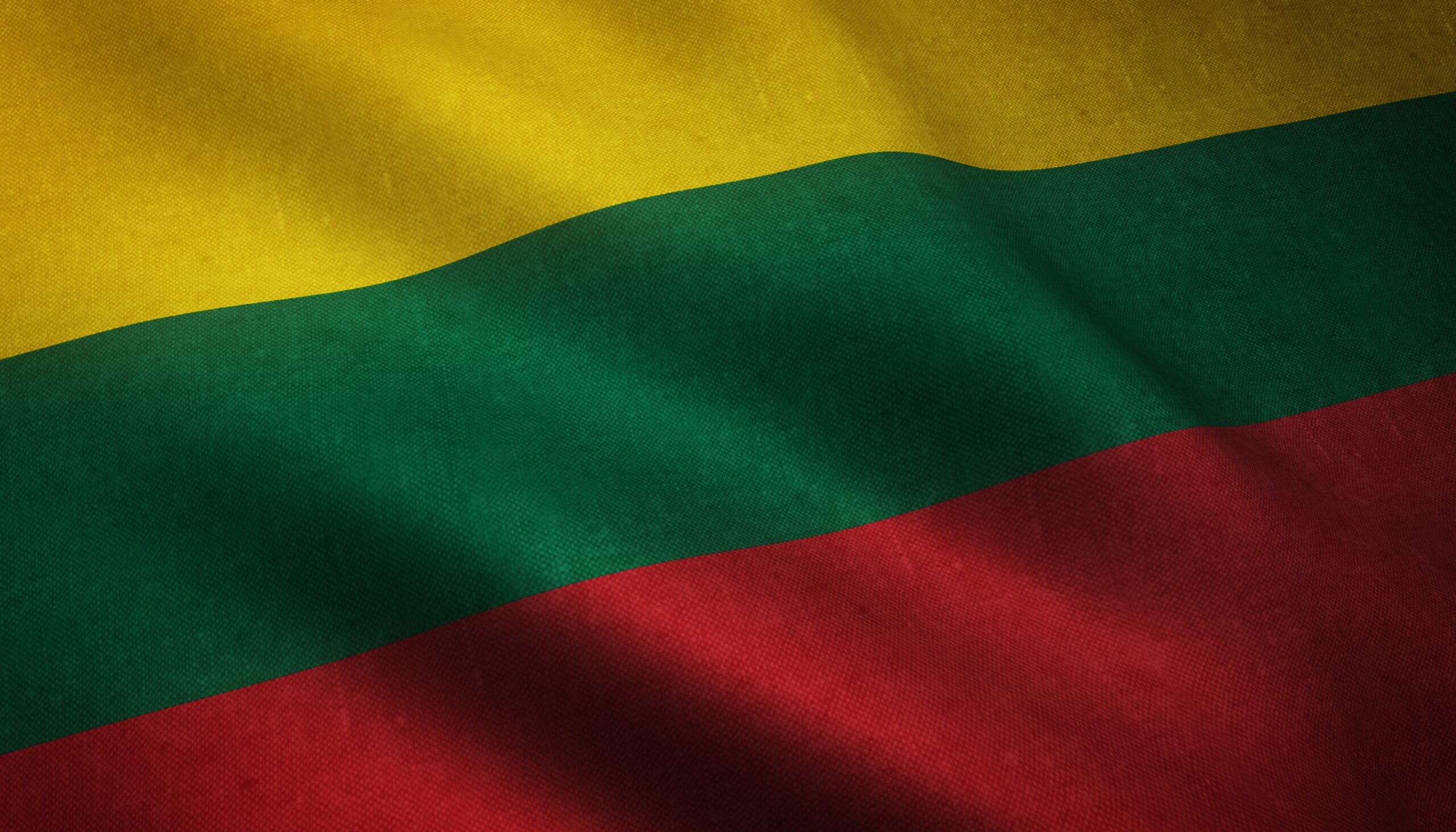 Треть жителей Литвы готовы к выплате отступных вместо приема мигрантов