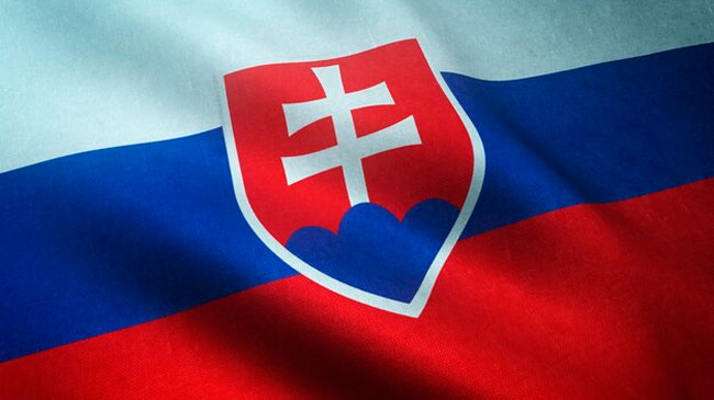 На экс-главу МО Словакии Надя подадут иск за передачу МиГ Украине