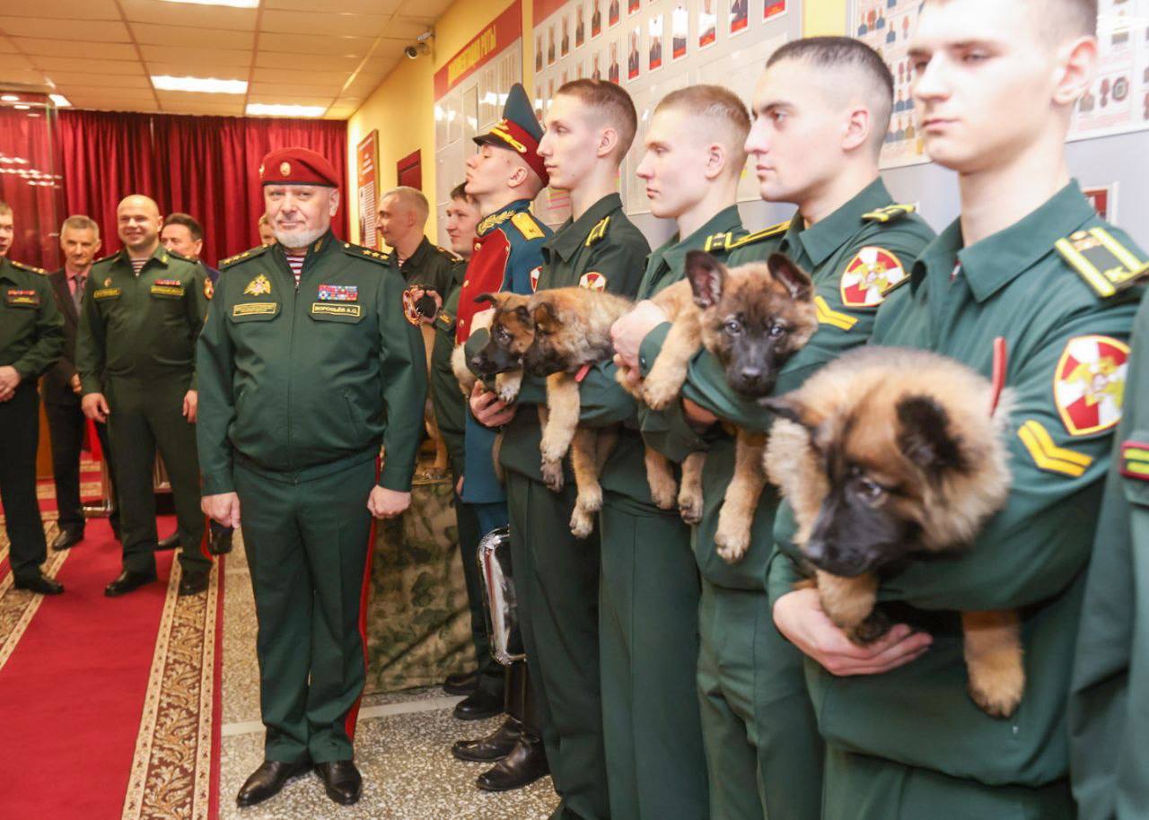 В Пермском военном институте Росгвардии впервые прошла торжественная  церемония вручения щенков курсантам-кинологам